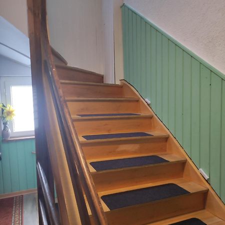 Kleine Gemuetliche Wohnung ツウィッカウ エクステリア 写真