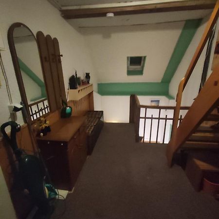 Kleine Gemuetliche Wohnung ツウィッカウ エクステリア 写真