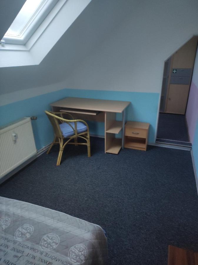Kleine Gemuetliche Wohnung ツウィッカウ エクステリア 写真