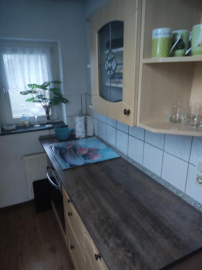 Kleine Gemuetliche Wohnung ツウィッカウ エクステリア 写真