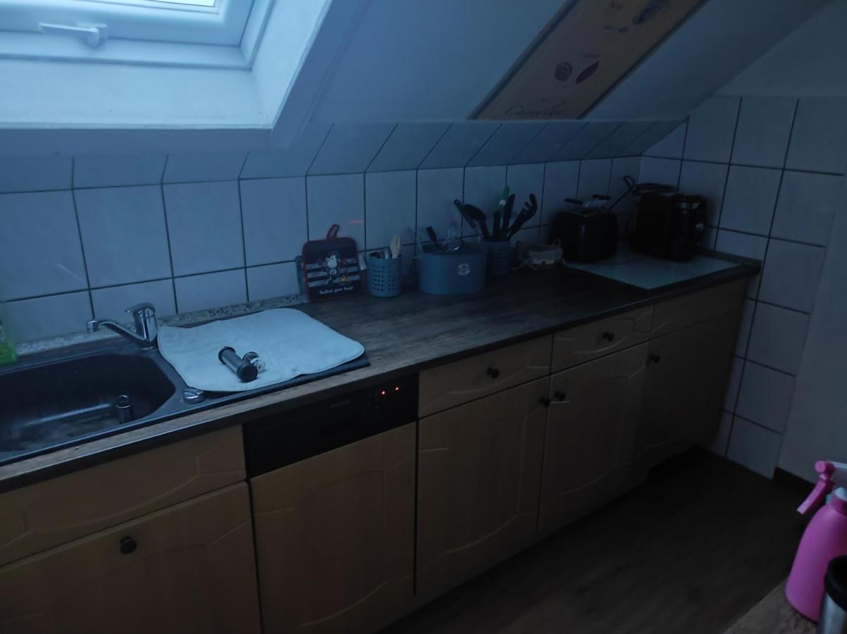 Kleine Gemuetliche Wohnung ツウィッカウ エクステリア 写真