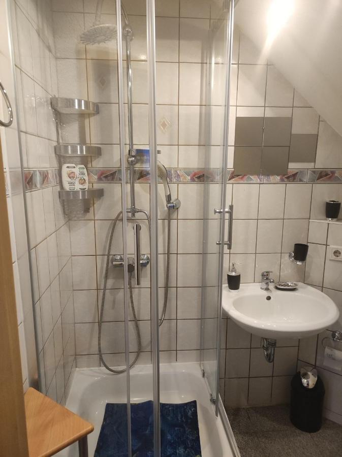 Kleine Gemuetliche Wohnung ツウィッカウ エクステリア 写真