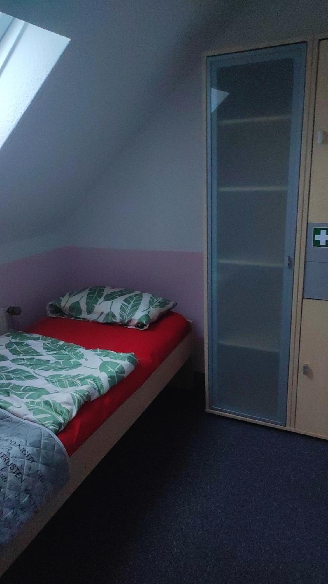 Kleine Gemuetliche Wohnung ツウィッカウ エクステリア 写真